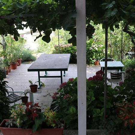 Villa Katarina Losinj Island Mali Losinj Bagian luar foto