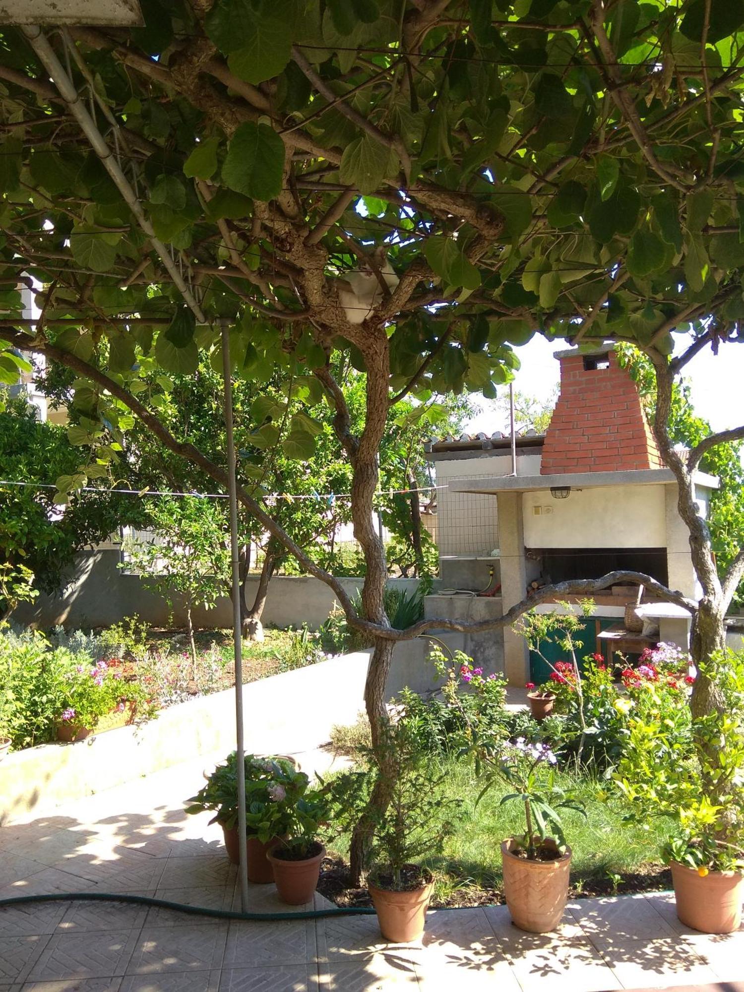 Villa Katarina Losinj Island Mali Losinj Bagian luar foto