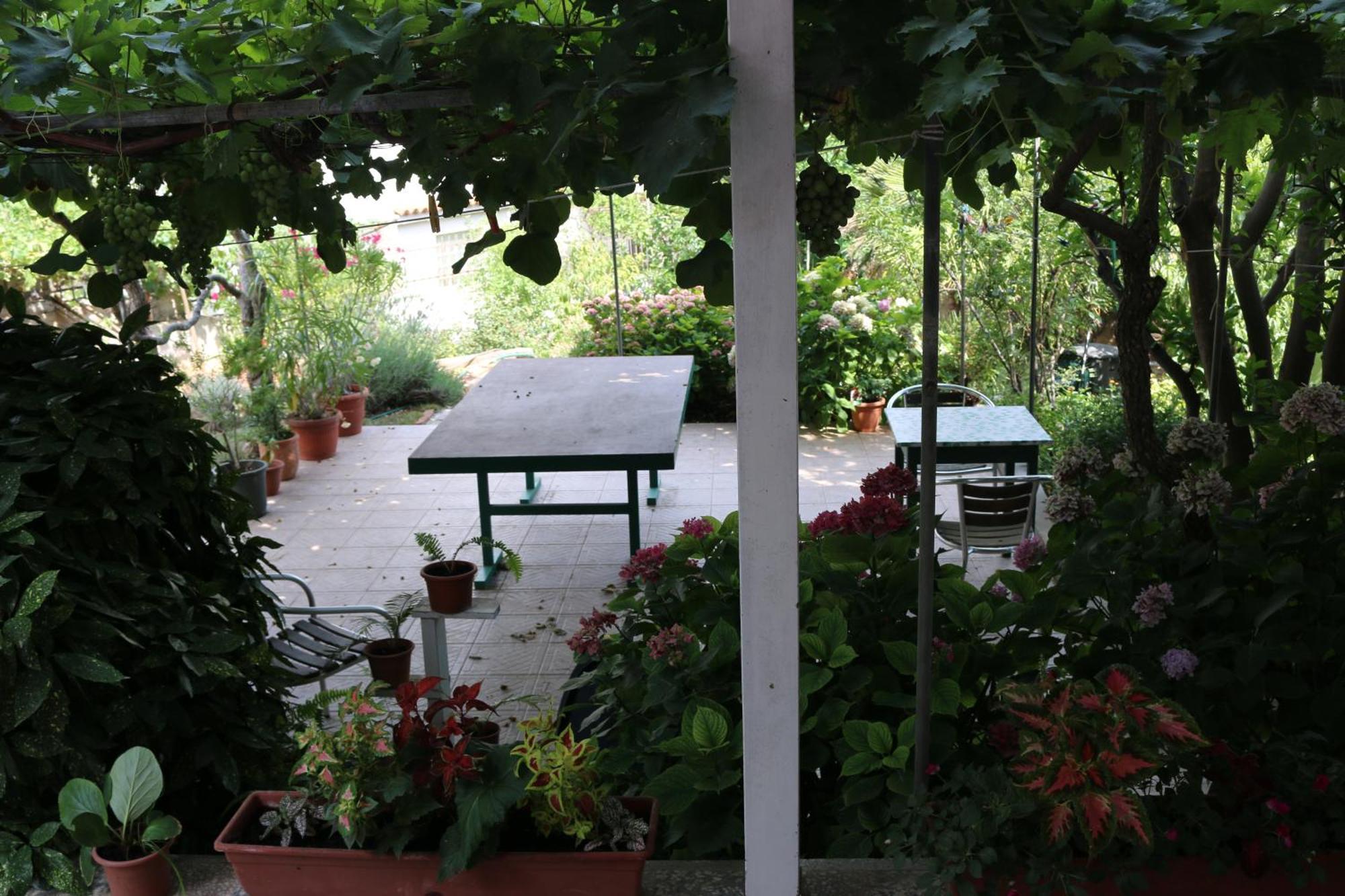 Villa Katarina Losinj Island Mali Losinj Bagian luar foto