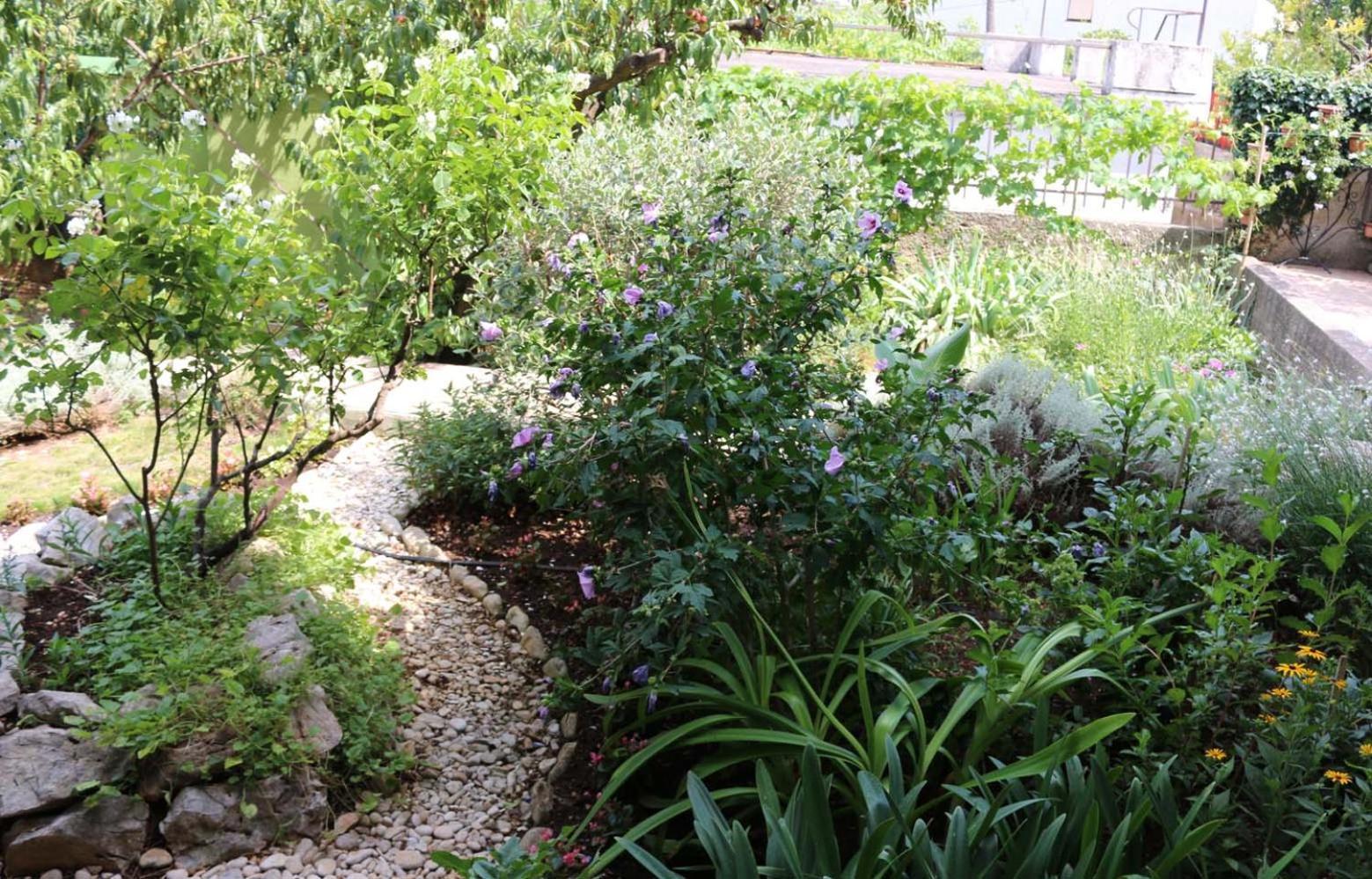 Villa Katarina Losinj Island Mali Losinj Bagian luar foto